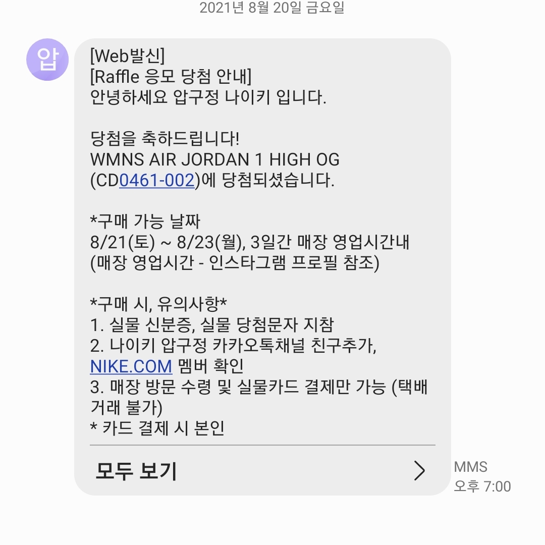 (W) Jordan 1 Retro High OG Seafoam 착용 스타일 - 1