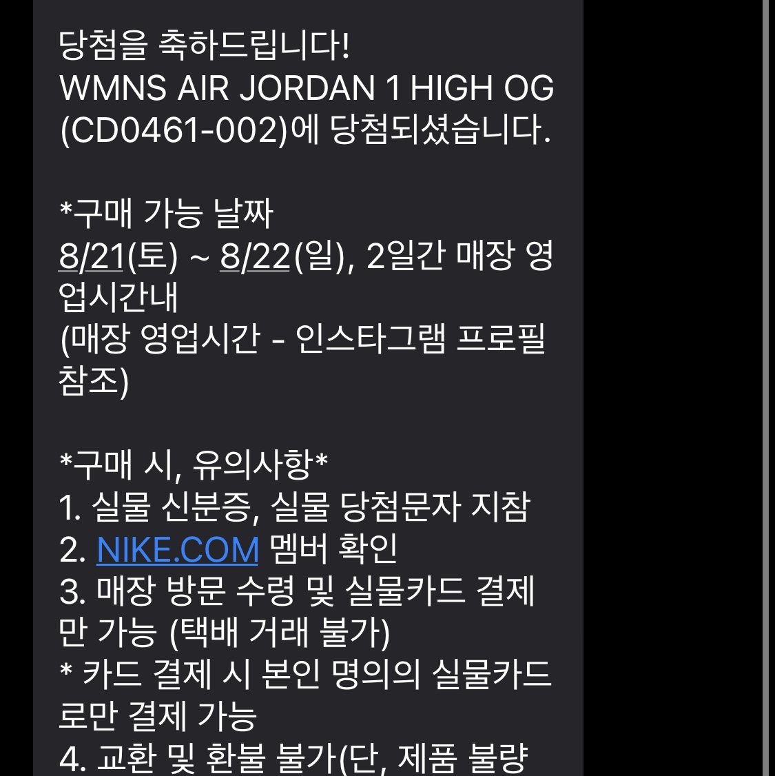 (W) Jordan 1 Retro High OG Seafoam 착용 스타일