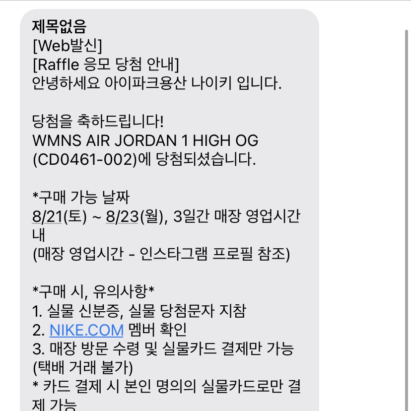 (W) Jordan 1 Retro High OG Seafoam 착용 스타일