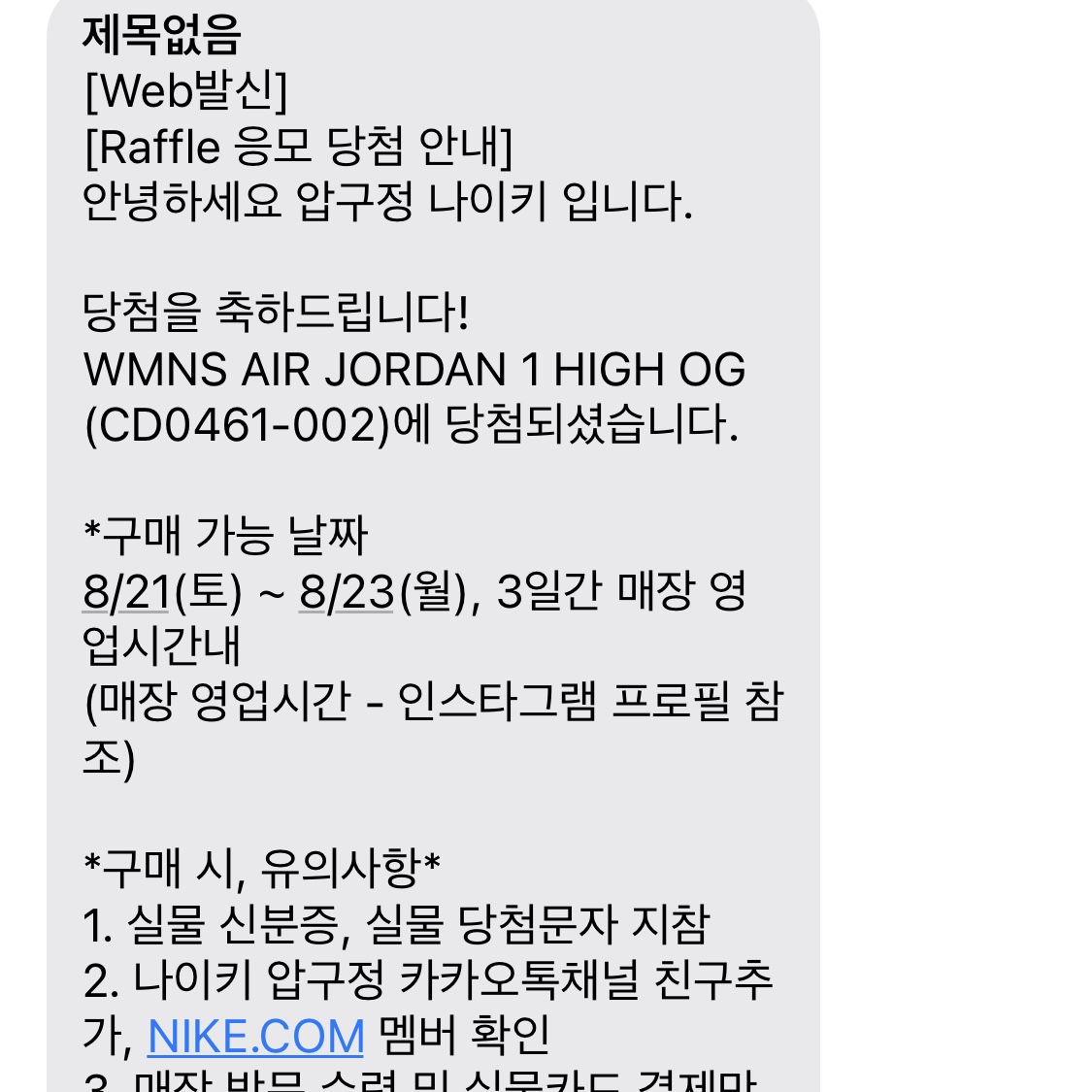(W) Jordan 1 Retro High OG Seafoam 착용 스타일
