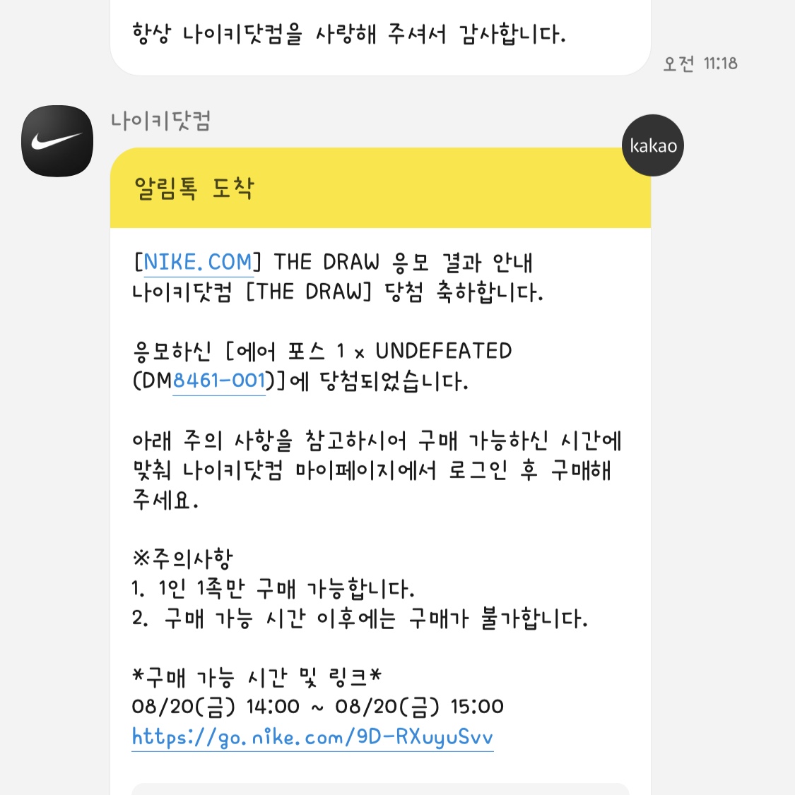 Nike x Undefeated Air Force 1 Low SP 5 On It 착용 스타일