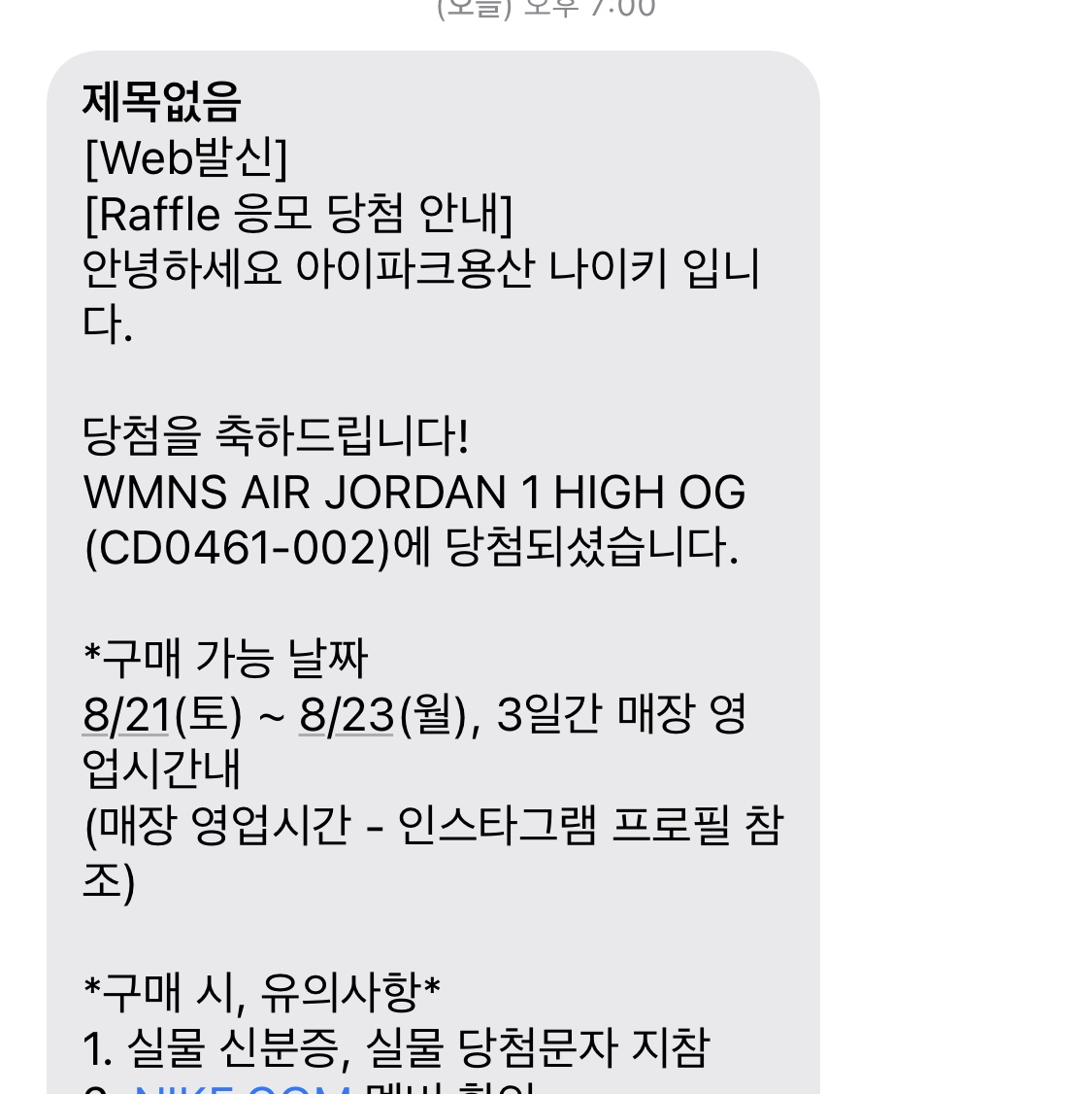 (W) Jordan 1 Retro High OG Seafoam 착용 스타일