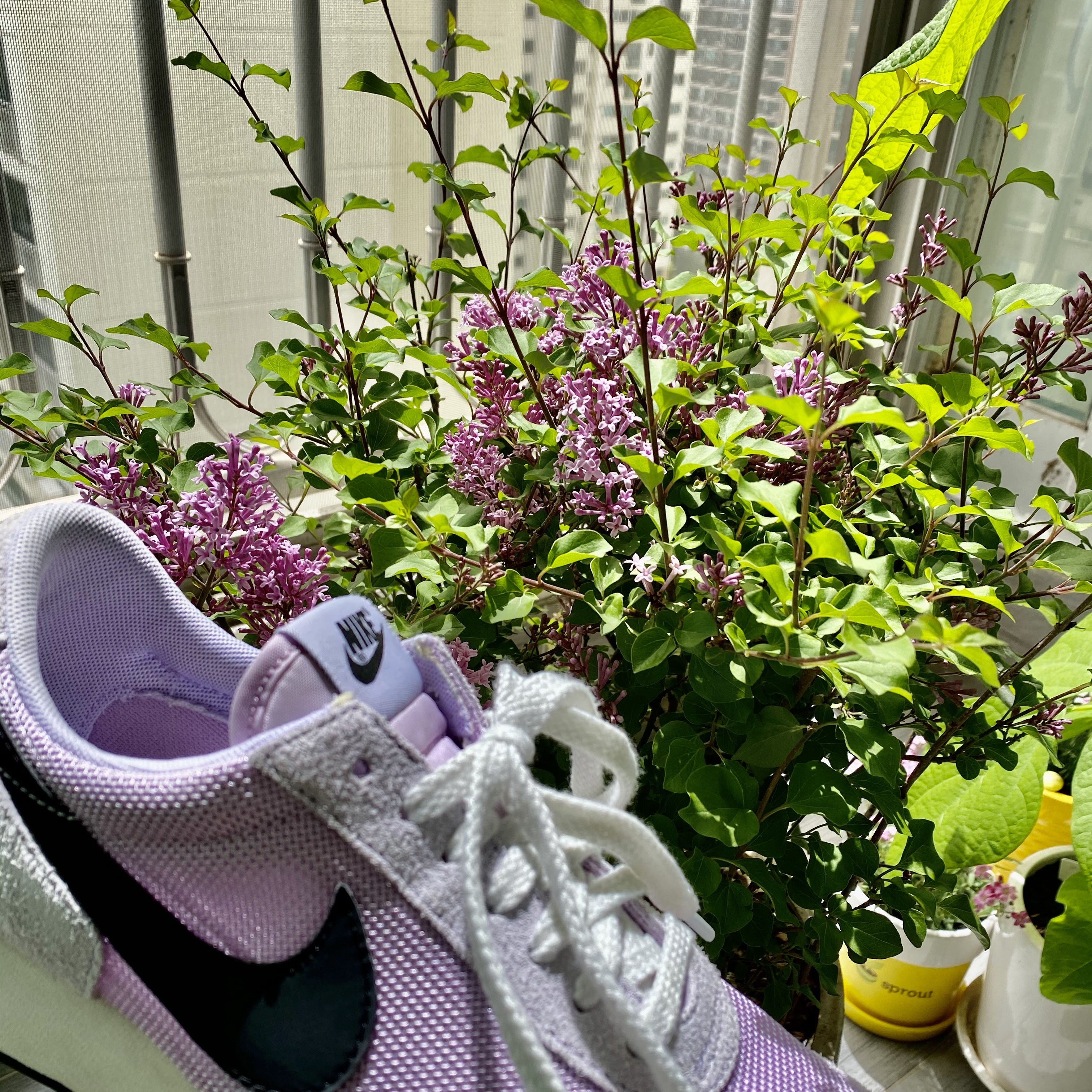 Nike Daybreak SP Lavender Mist 착용 스타일 - 3