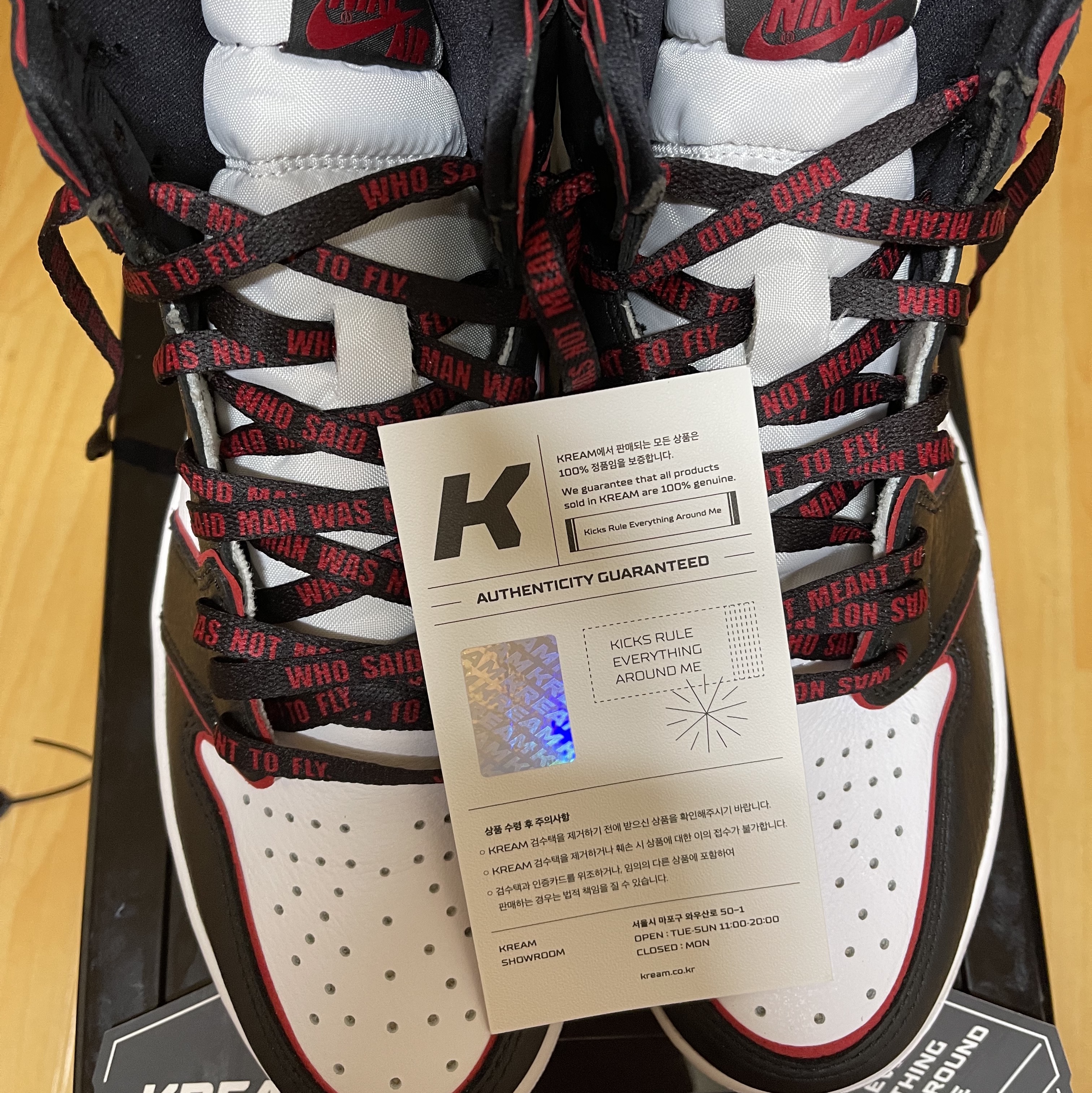 Jordan 1 Retro High OG Bloodline 착용 스타일 - 2