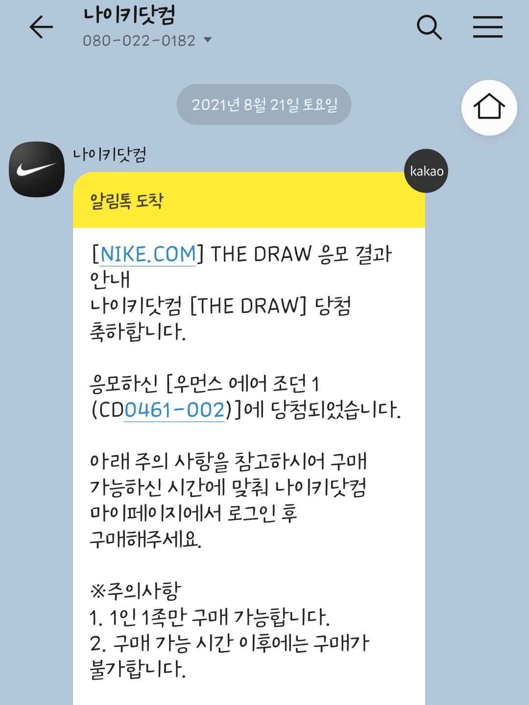 (W) Jordan 1 Retro High OG Seafoam 착용 스타일
