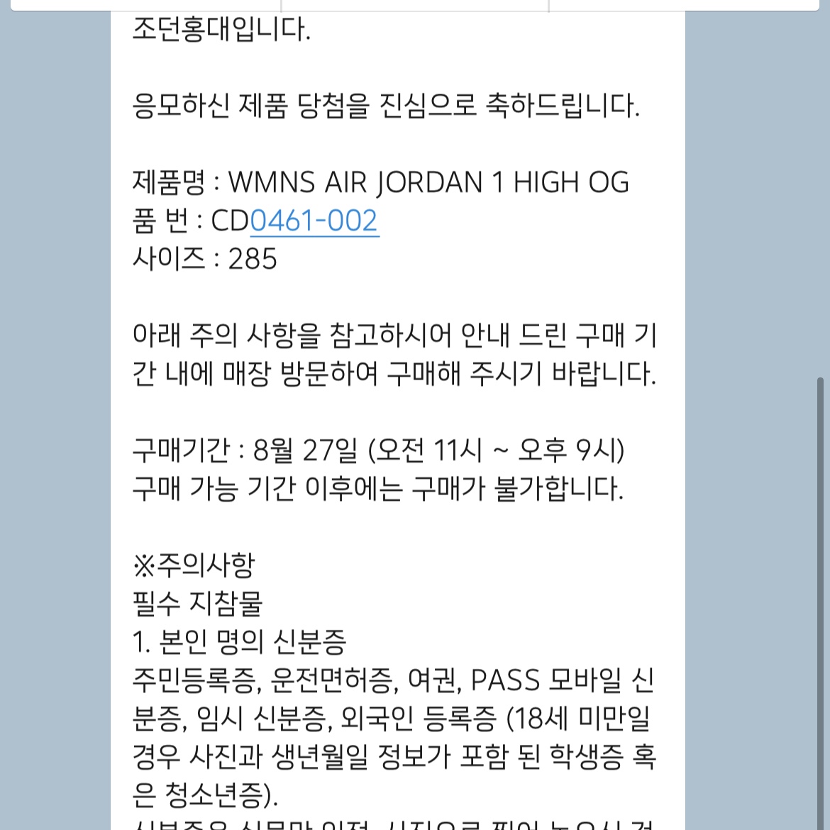 (W) Jordan 1 Retro High OG Seafoam 착용 스타일