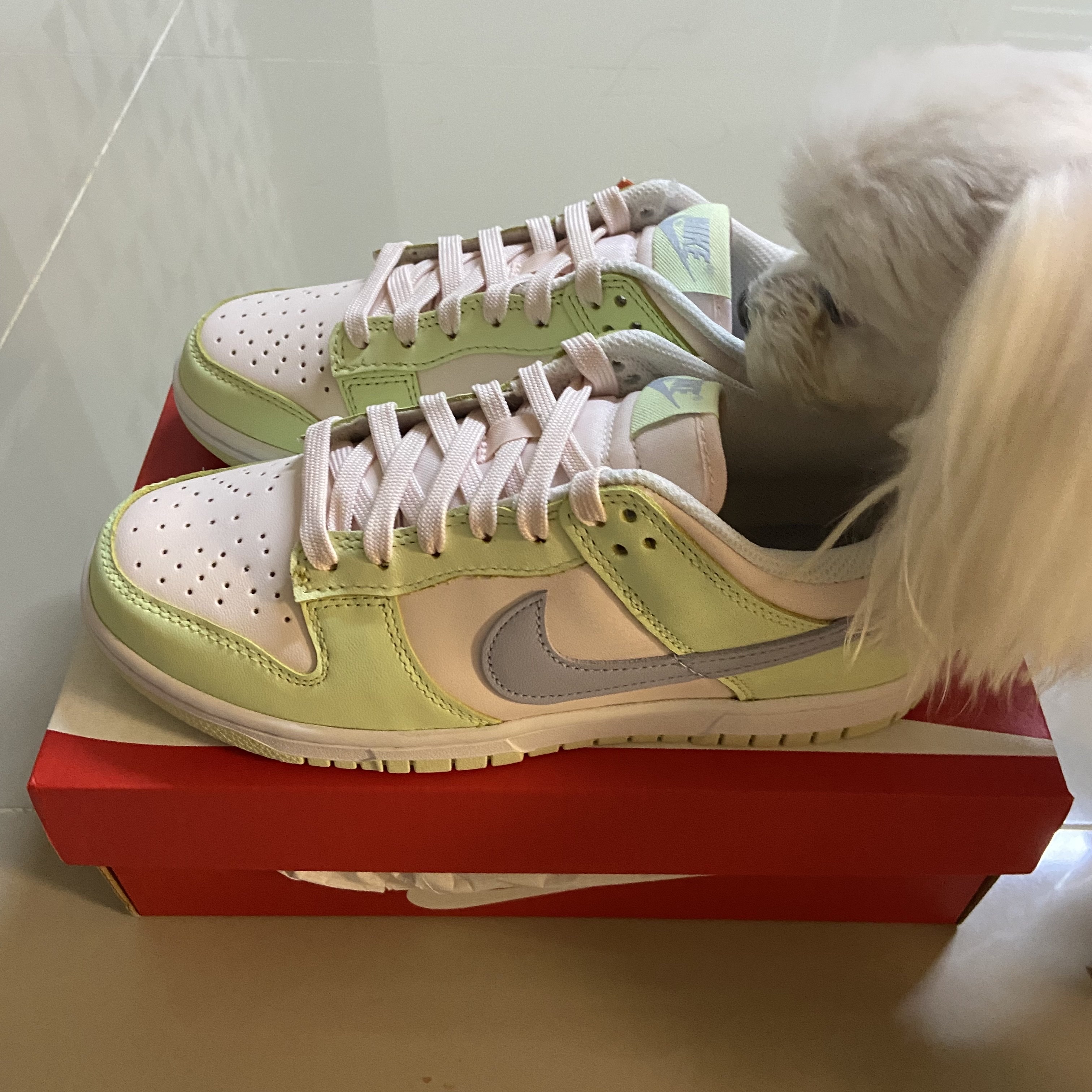 (W) Nike Dunk Low Light Soft Pink 착용 스타일
