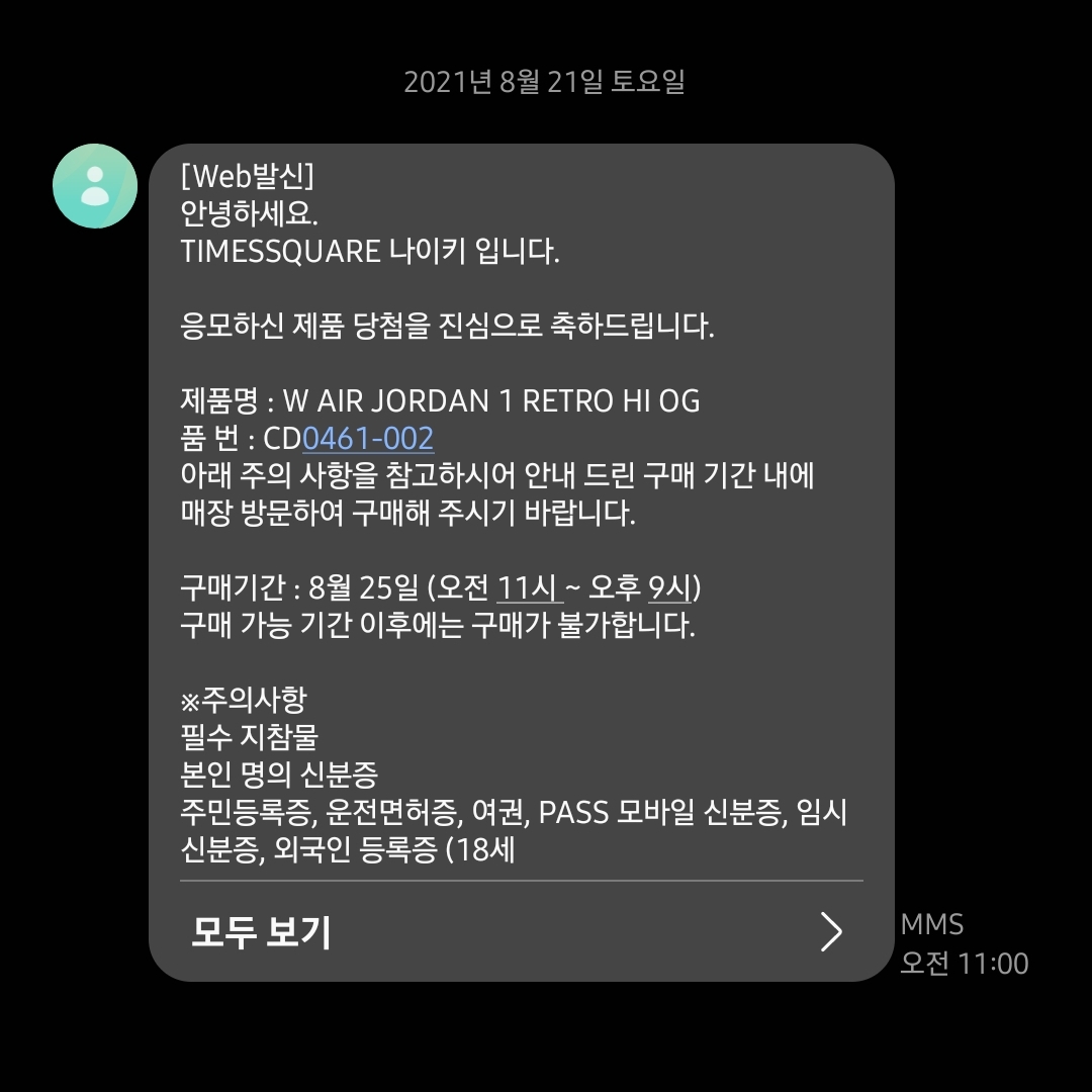 (W) Jordan 1 Retro High OG Seafoam 착용 스타일