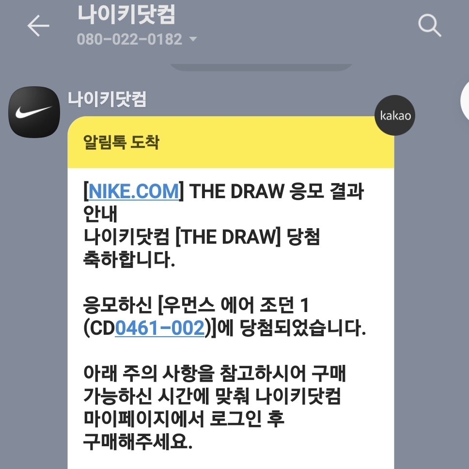 (W) Jordan 1 Retro High OG Seafoam 착용 스타일