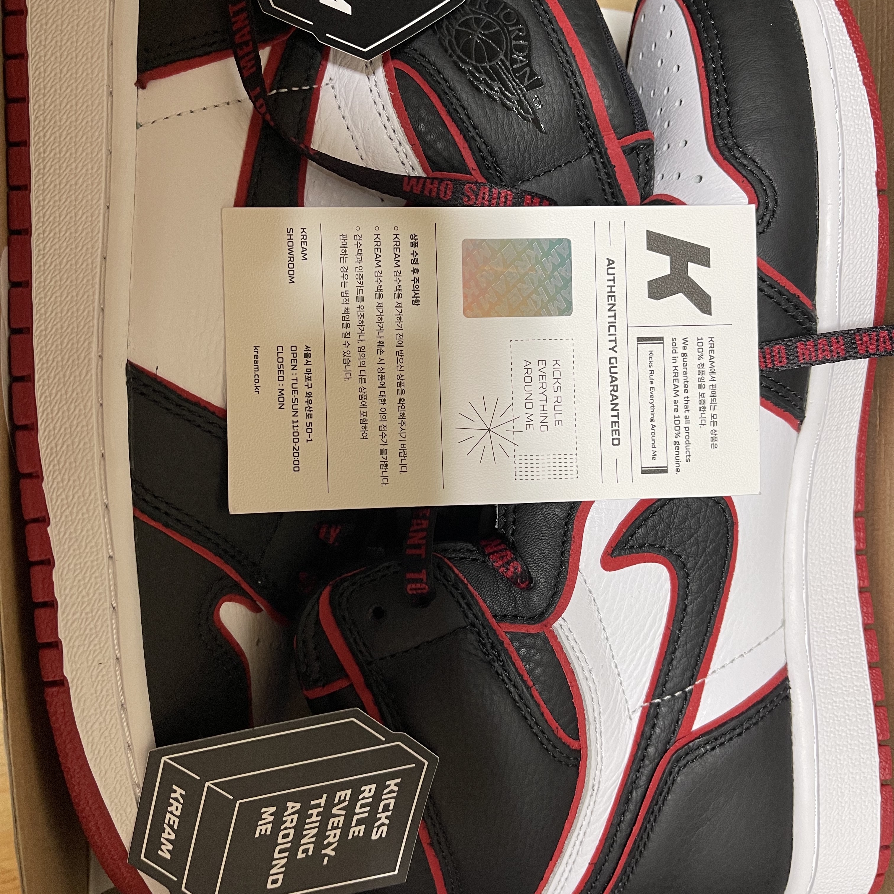 Jordan 1 Retro High OG Bloodline 착용 스타일 - 1