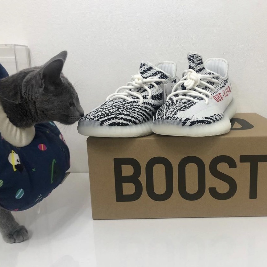 Adidas Yeezy Boost 350 V2 Zebra 2017/2019/2020 착용 스타일