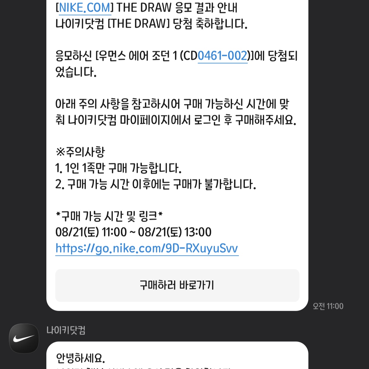 (W) Jordan 1 Retro High OG Seafoam 착용 스타일