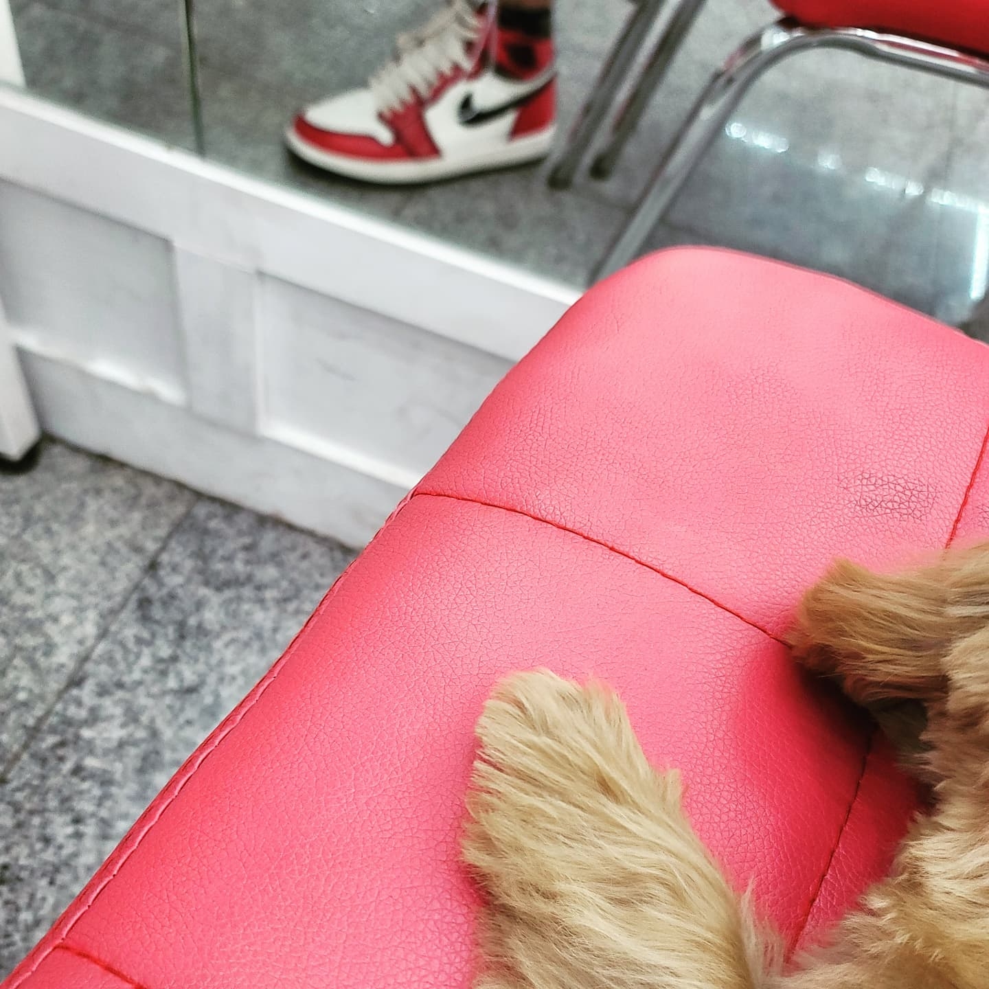Jordan 1 Retro High OG Defiant SB LA to Chicago 착용 스타일 - 2