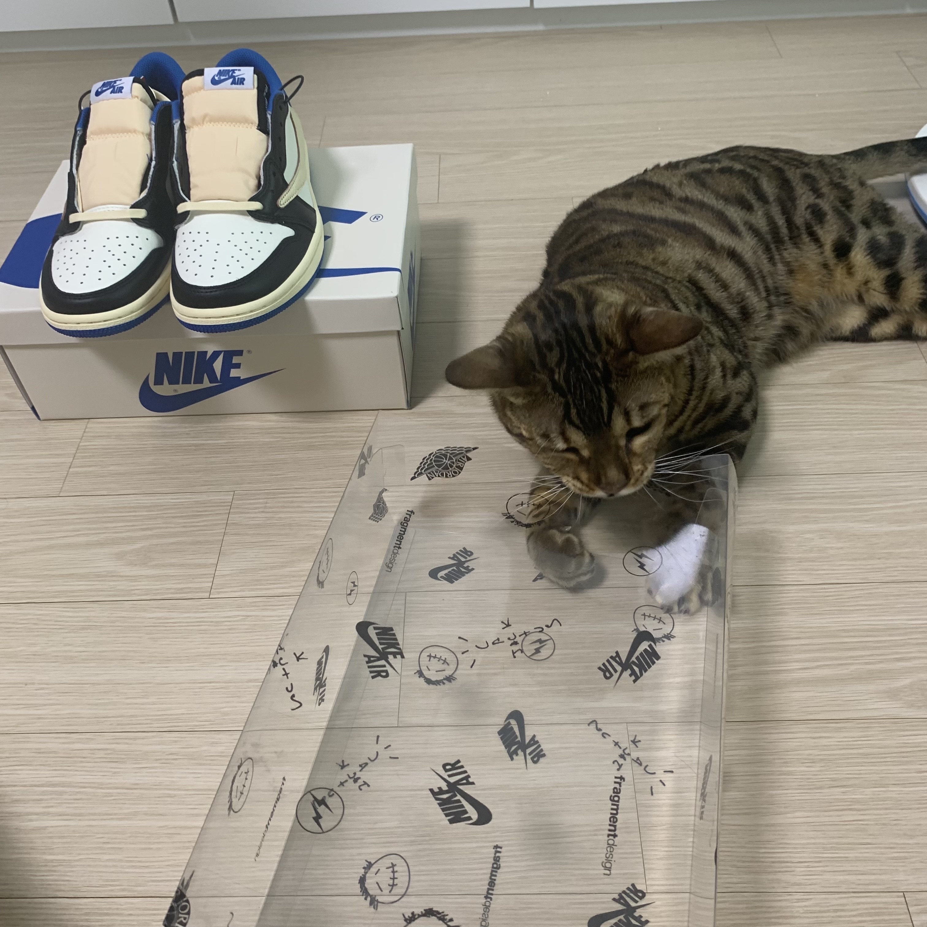 Jordan 1 x Travis Scott x Fragment Retro Low OG SP Military Blue 착용 스타일 - 1