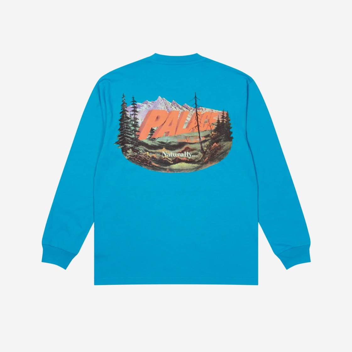 Palace Chapping Long Sleeve Petrol Blue - 21FW 상세 이미지 1