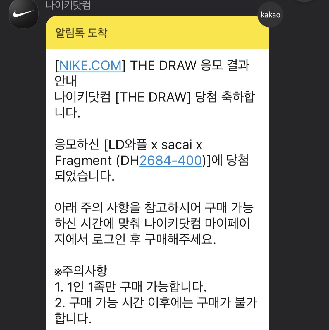 Nike x Sacai x Fragment LDWaffle Blackened Blue 착용 스타일
