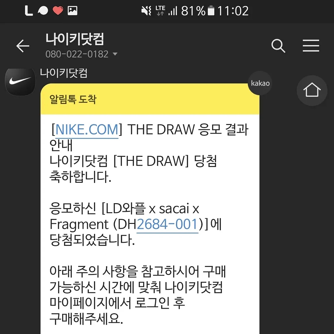Nike x Sacai x Fragment LDWaffle Light Smoke Grey 착용 스타일