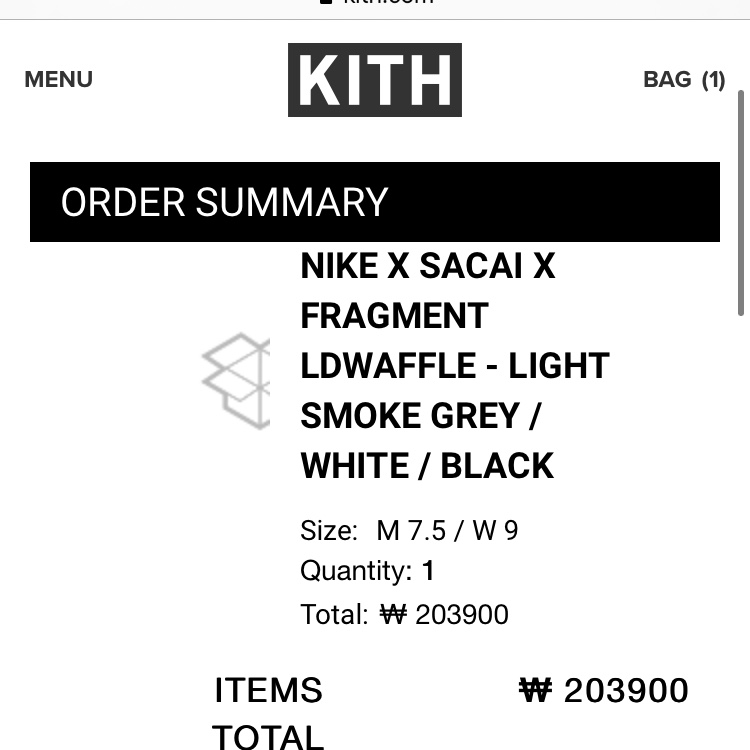 Nike x Sacai x Fragment LDWaffle Light Smoke Grey 착용 스타일