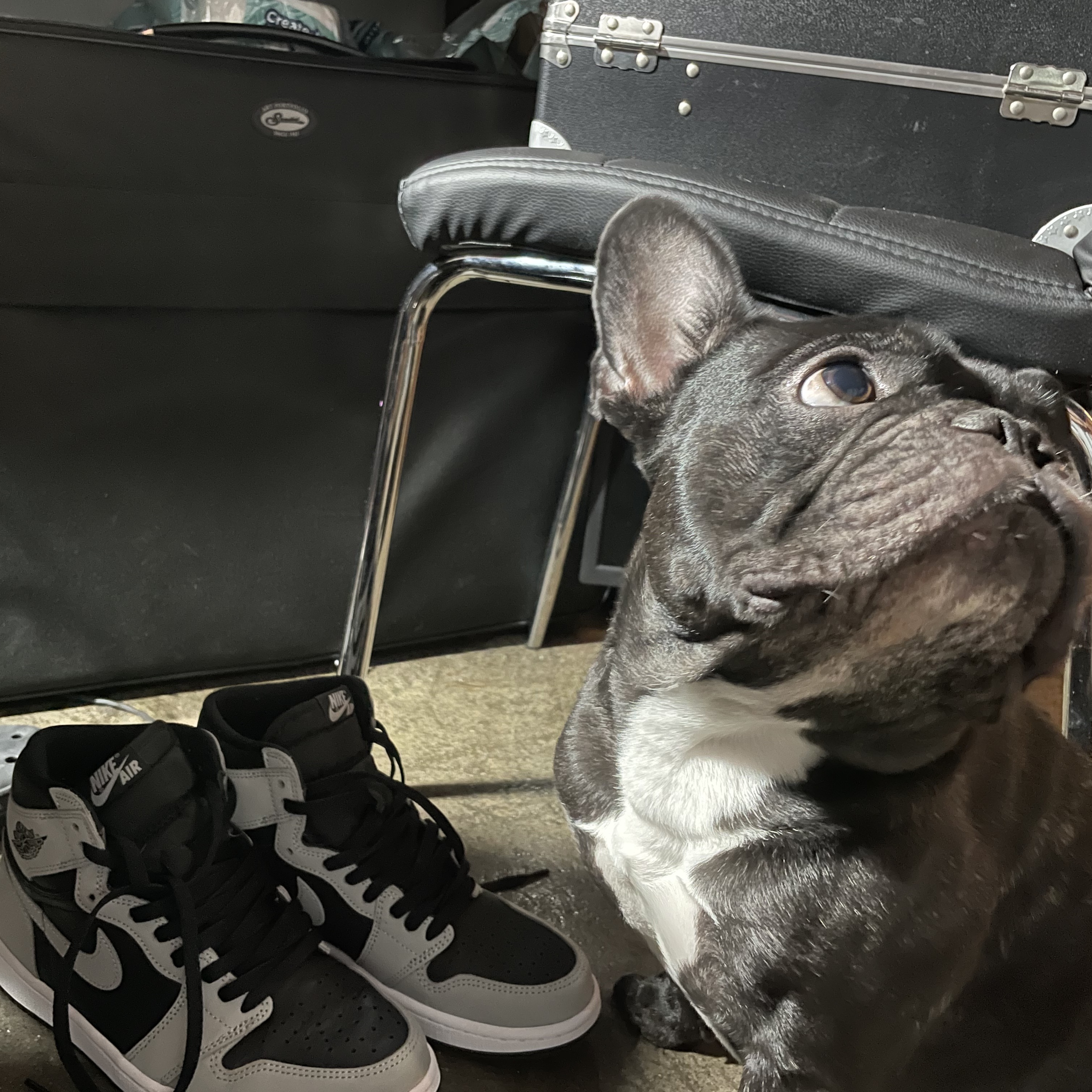 Jordan 1 Retro High OG Shadow 2.0 착용 스타일 - 1