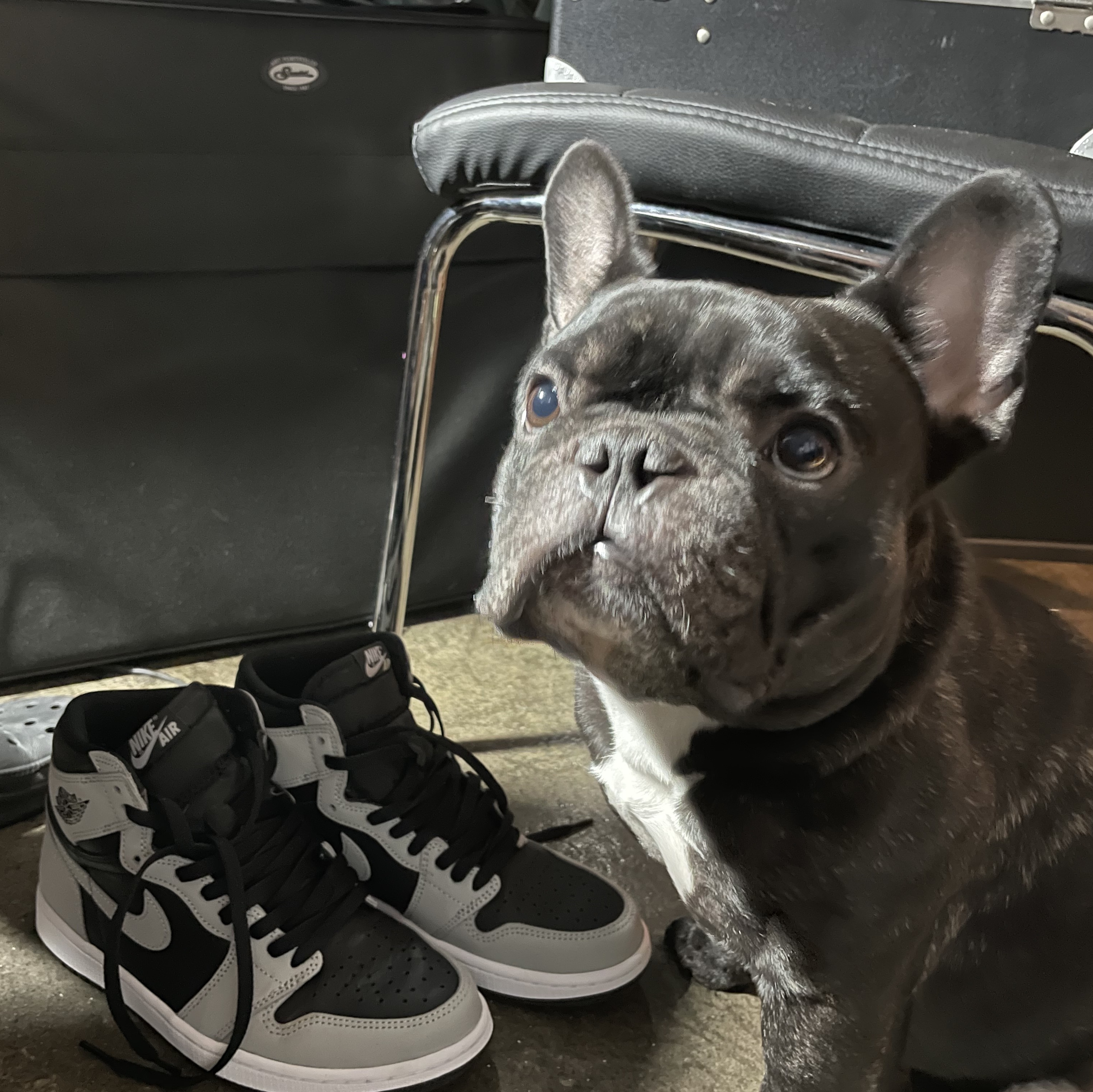 Jordan 1 Retro High OG Shadow 2.0 착용 스타일 - 2