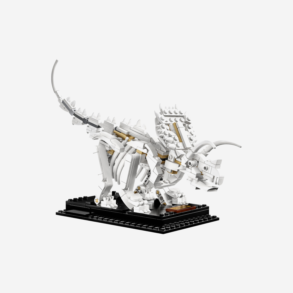 레고 공룡 화석(Lego Dinosaur Fossils) - 3