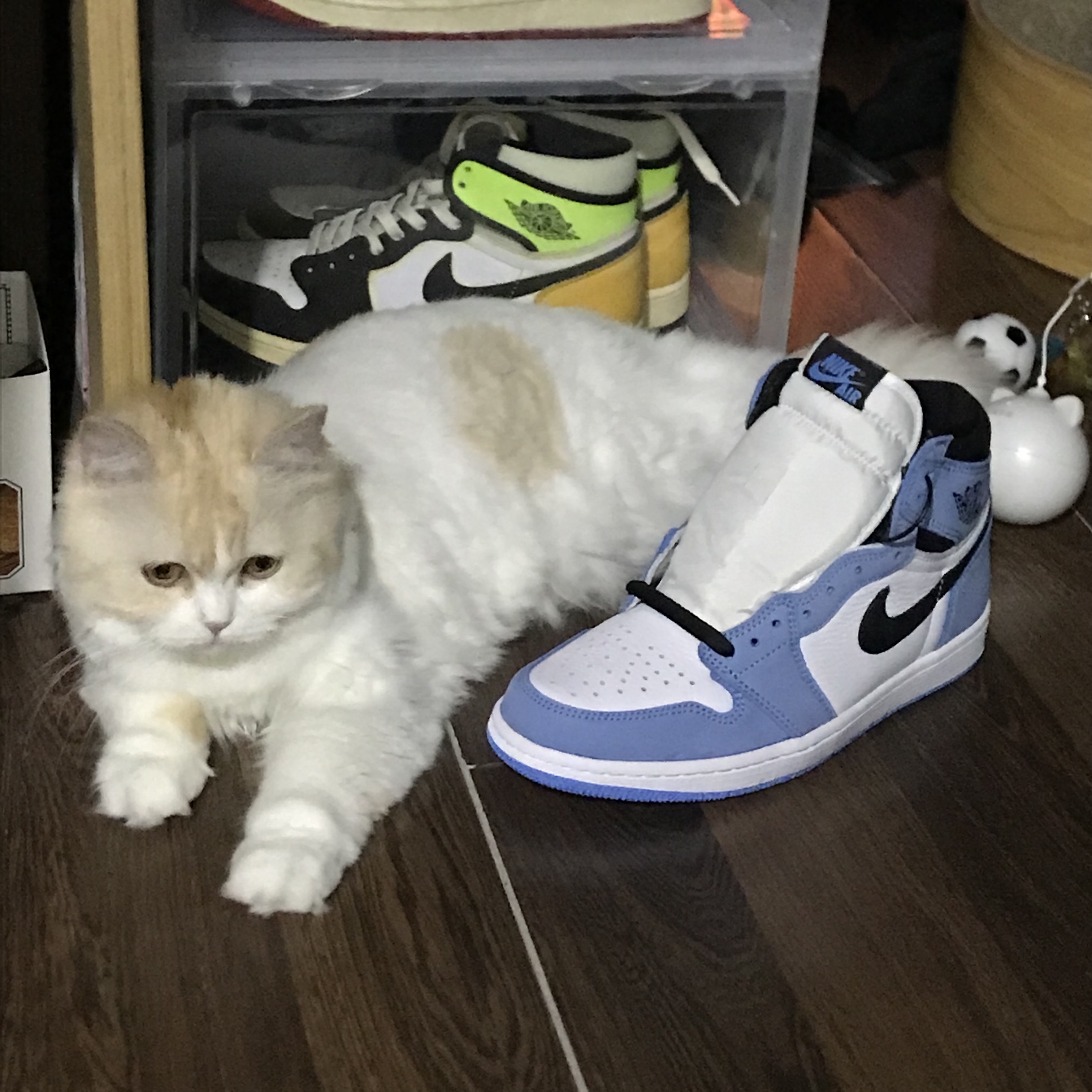 Jordan 1 Retro High OG University Blue 착용 스타일 - 5