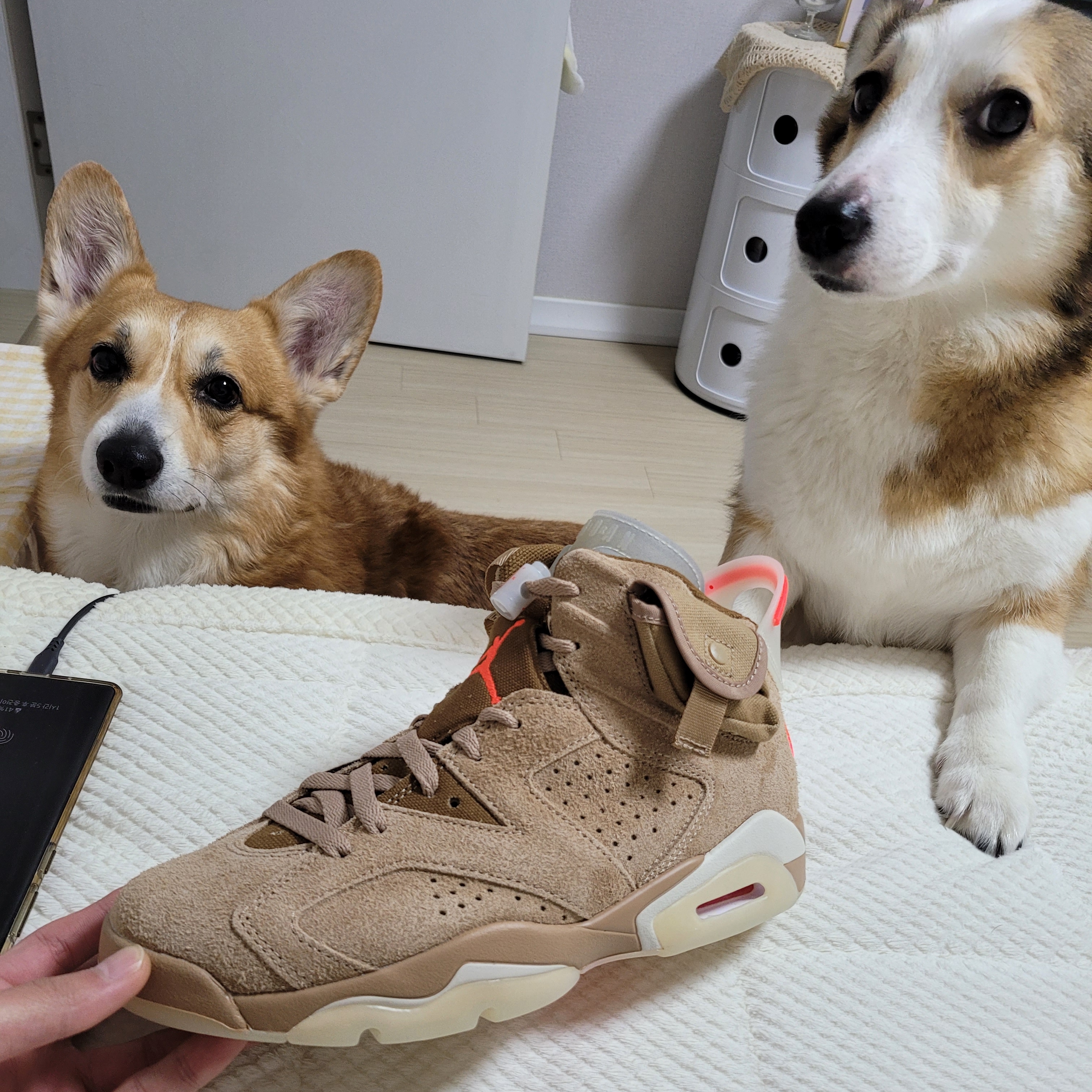 Jordan 6 x Travis Scott Retro SP British Khaki 착용 스타일