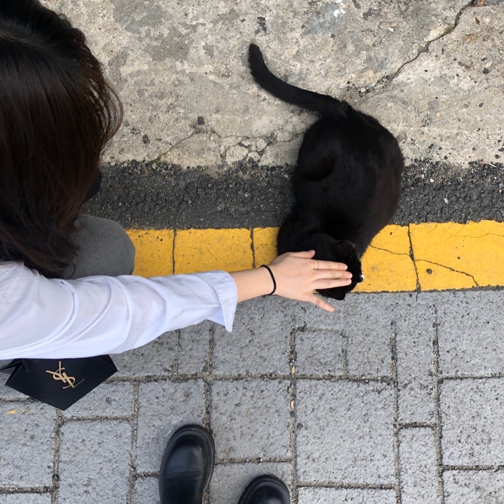KREAM 프로필 이미지