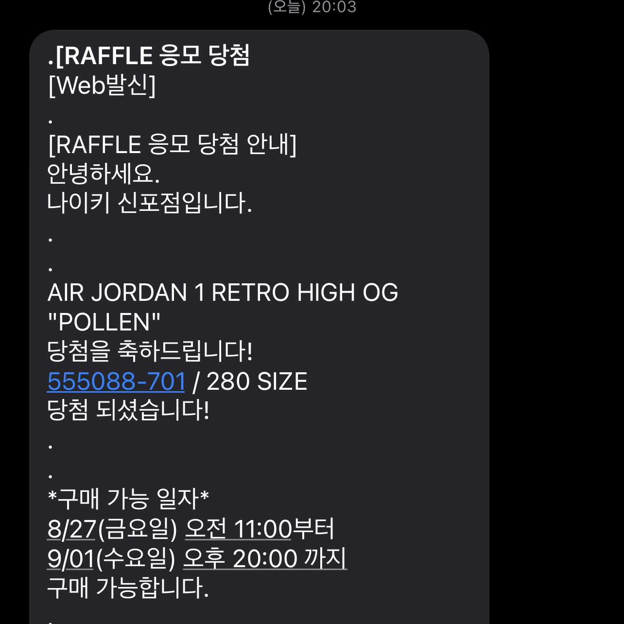 Jordan 1 Retro High OG Pollen 착용 스타일