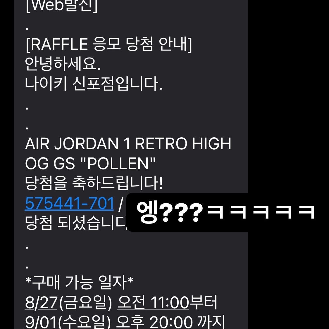 (GS) Jordan 1 Retro High OG Pollen 착용 스타일