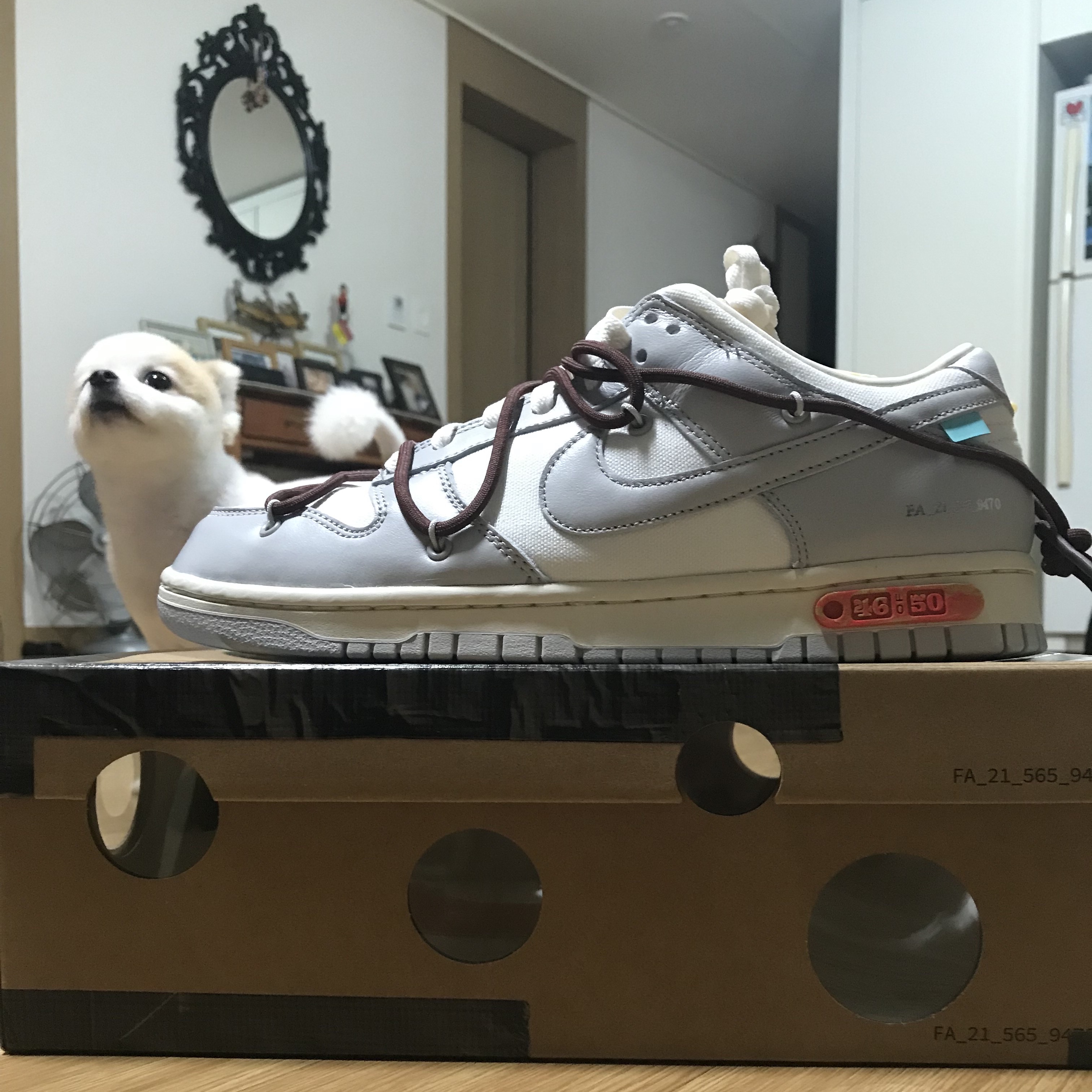 Nike x Off-White Dunk Low The 50 - Lot 46 착용 스타일
