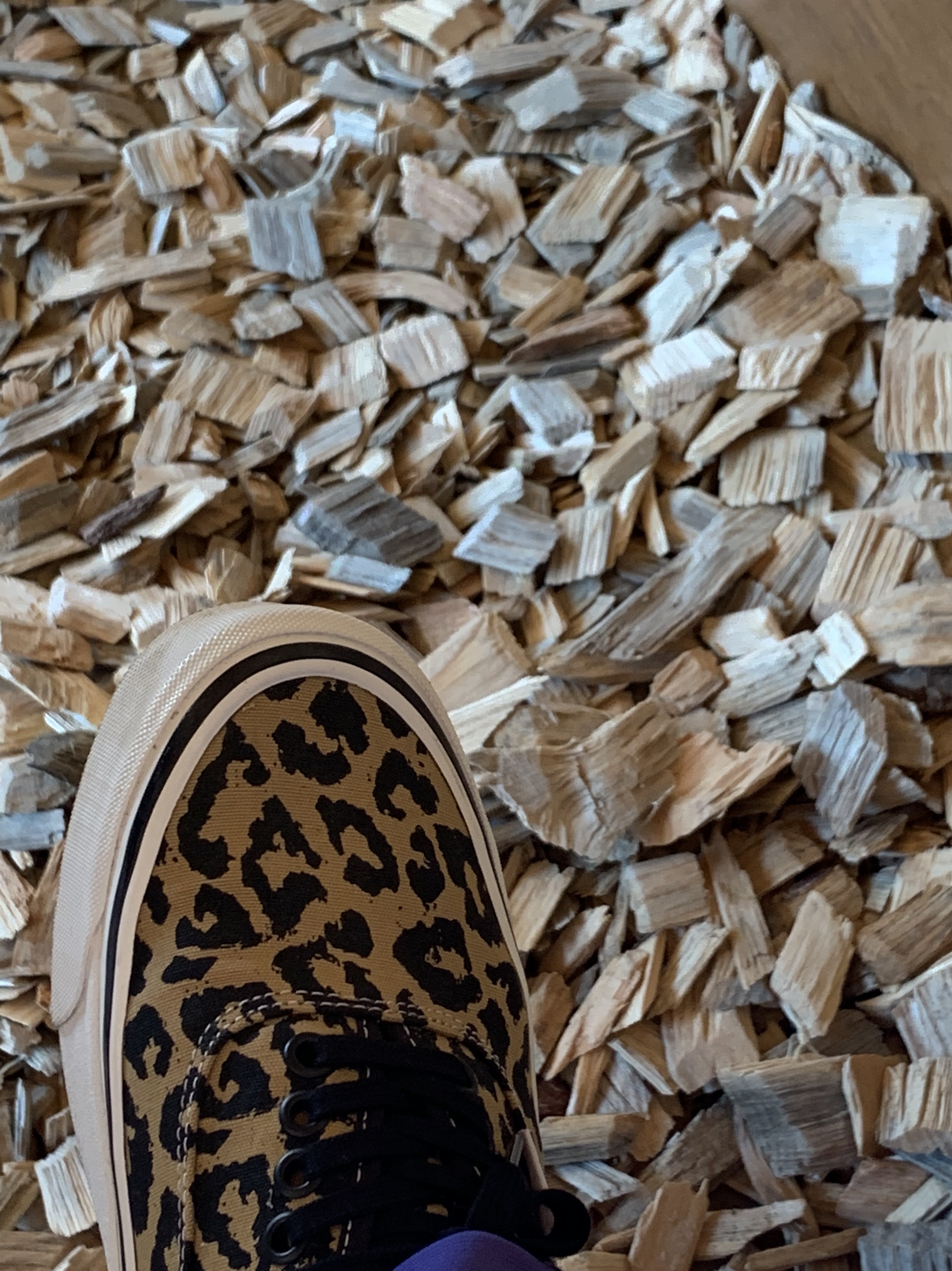 Vans Authentic 44 DX Anaheim Factory Leopard 착용 스타일 - 1