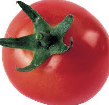 관심 유저 프로필 이미지