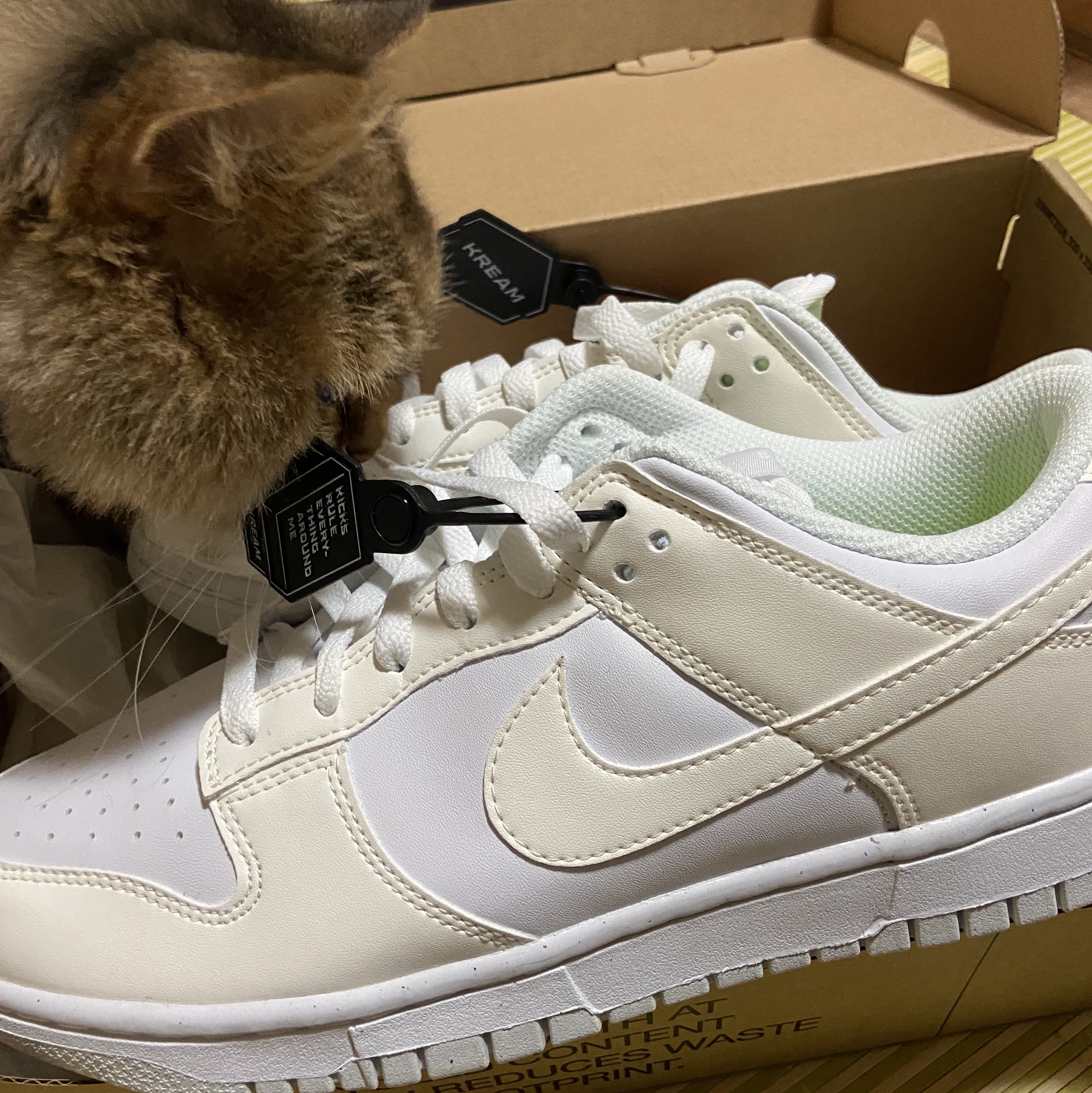 (W) Nike Dunk Low Next Nature Sail 착용 스타일