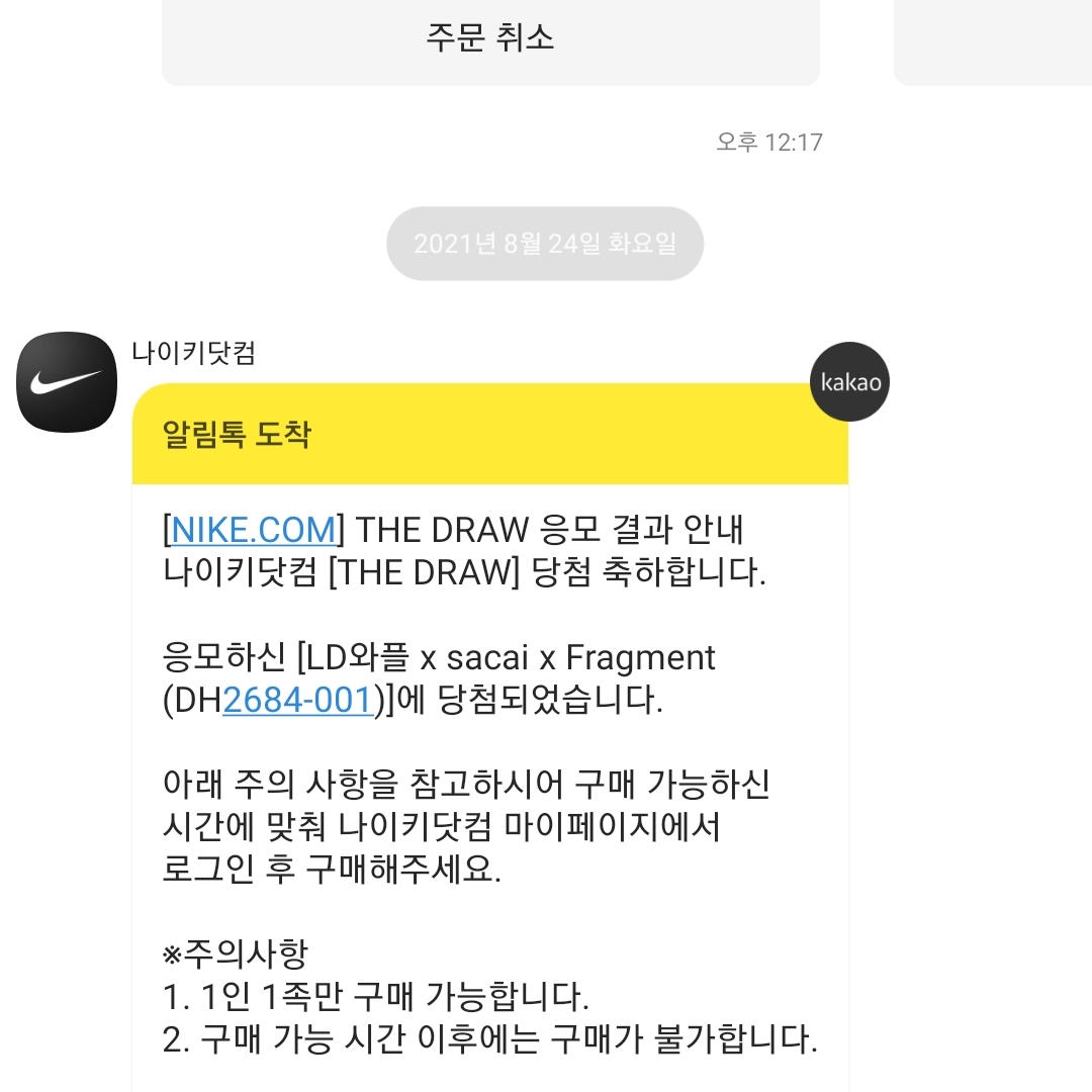 Nike x Sacai x Fragment LDWaffle Light Smoke Grey 착용 스타일 - 4