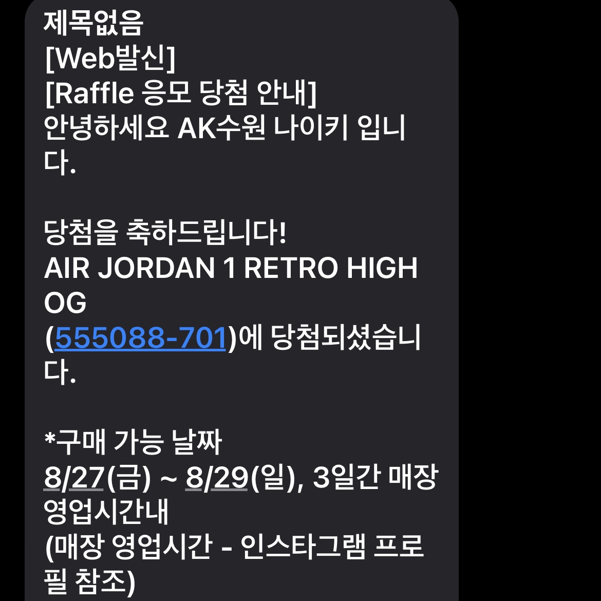 Jordan 1 Retro High OG Pollen 착용 스타일
