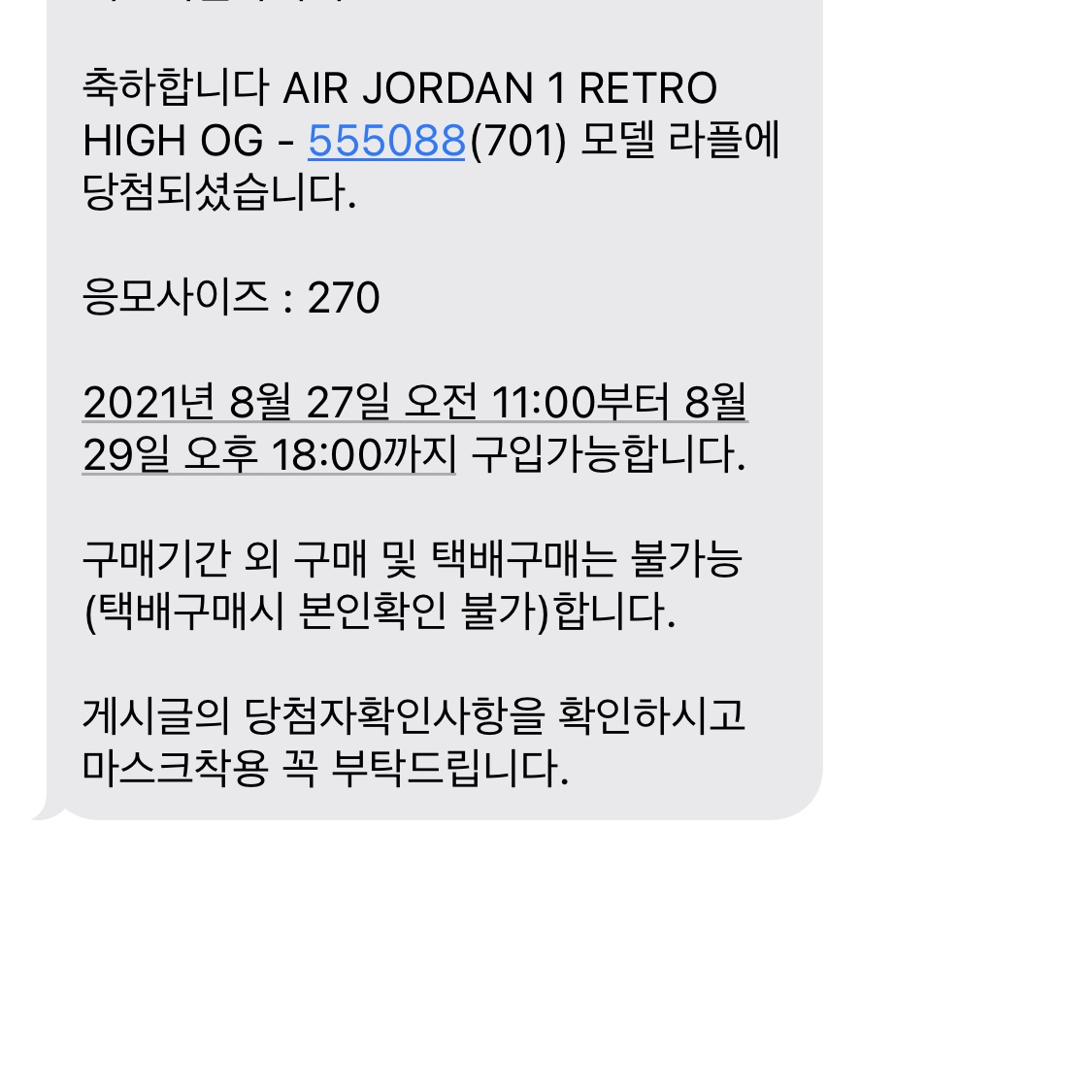 Jordan 1 Retro High OG Pollen 착용 스타일