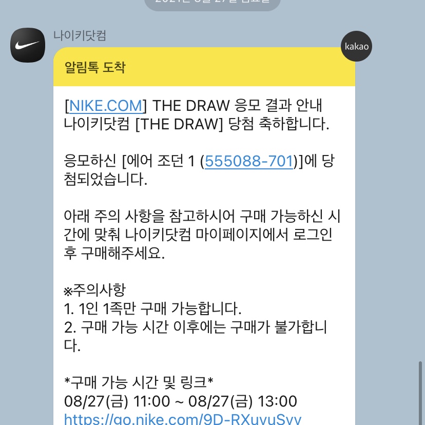 Jordan 1 Retro High OG Pollen 착용 스타일 - 4