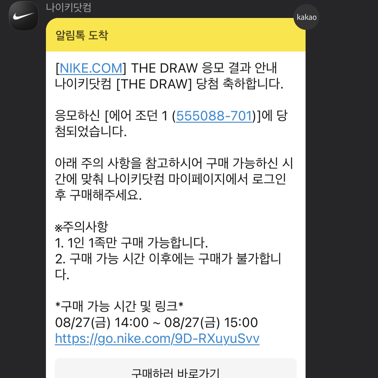 Jordan 1 Retro High OG Pollen 착용 스타일 - 1