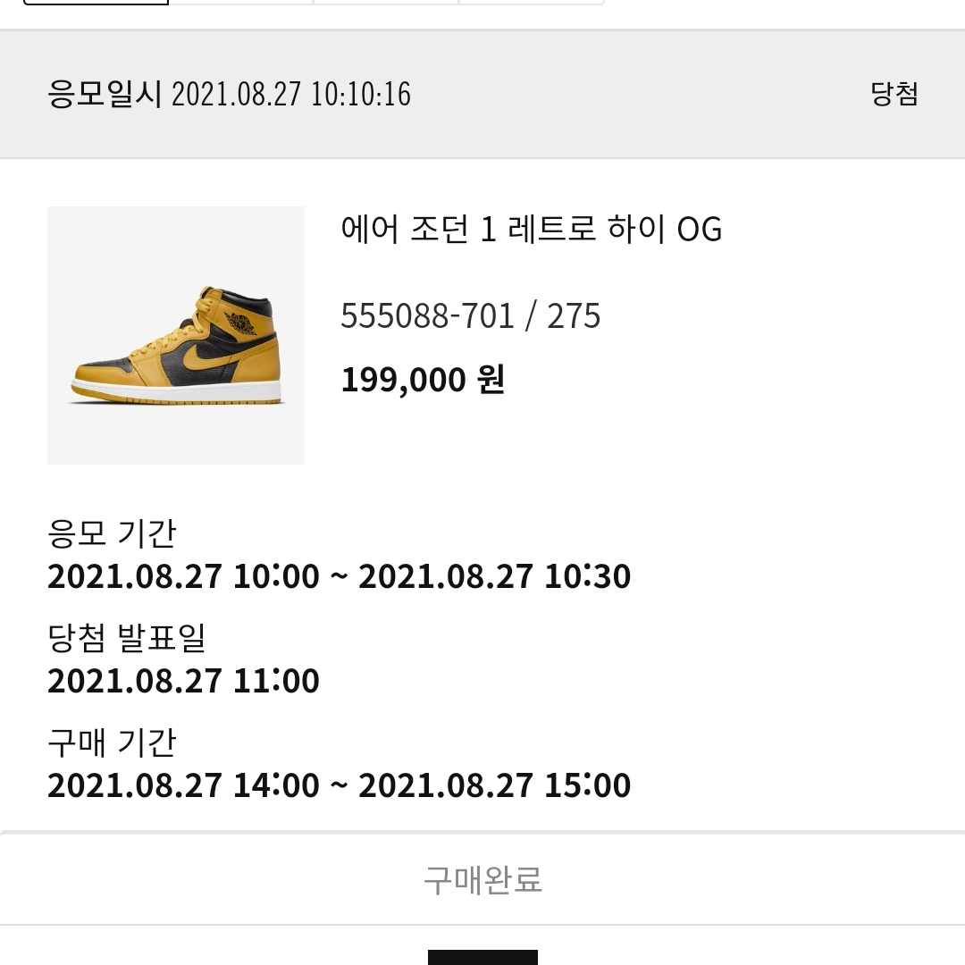 Jordan 1 Retro High OG Pollen 착용 스타일