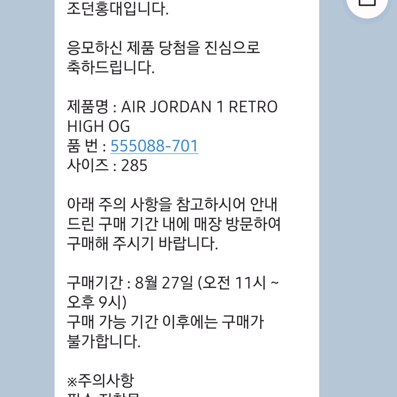 Jordan 1 Retro High OG Pollen 착용 스타일 - 1