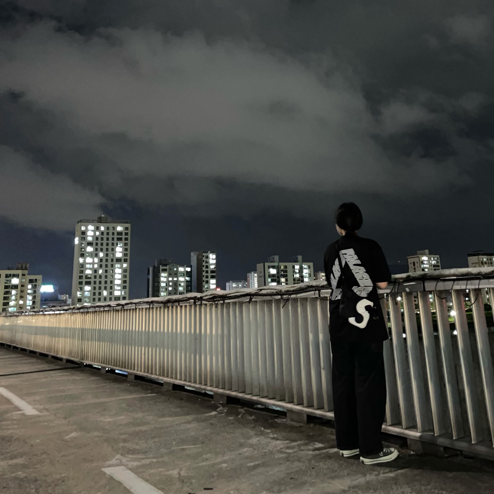 Palace P3 Team T-Shirt Black - 20FW, Supreme x The North Face S Logo Shoulder Bag Black - 20FW 착용 스타일