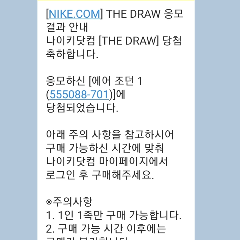 Jordan 1 Retro High OG Pollen 착용 스타일