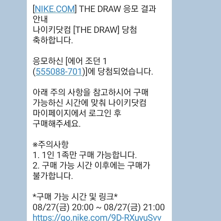 Jordan 1 Retro High OG Pollen 착용 스타일