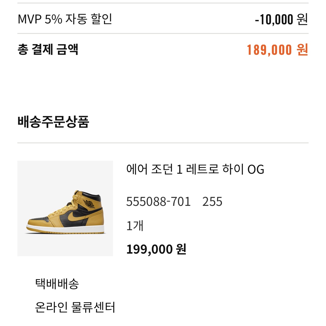Jordan 1 Retro High OG Pollen 착용 스타일