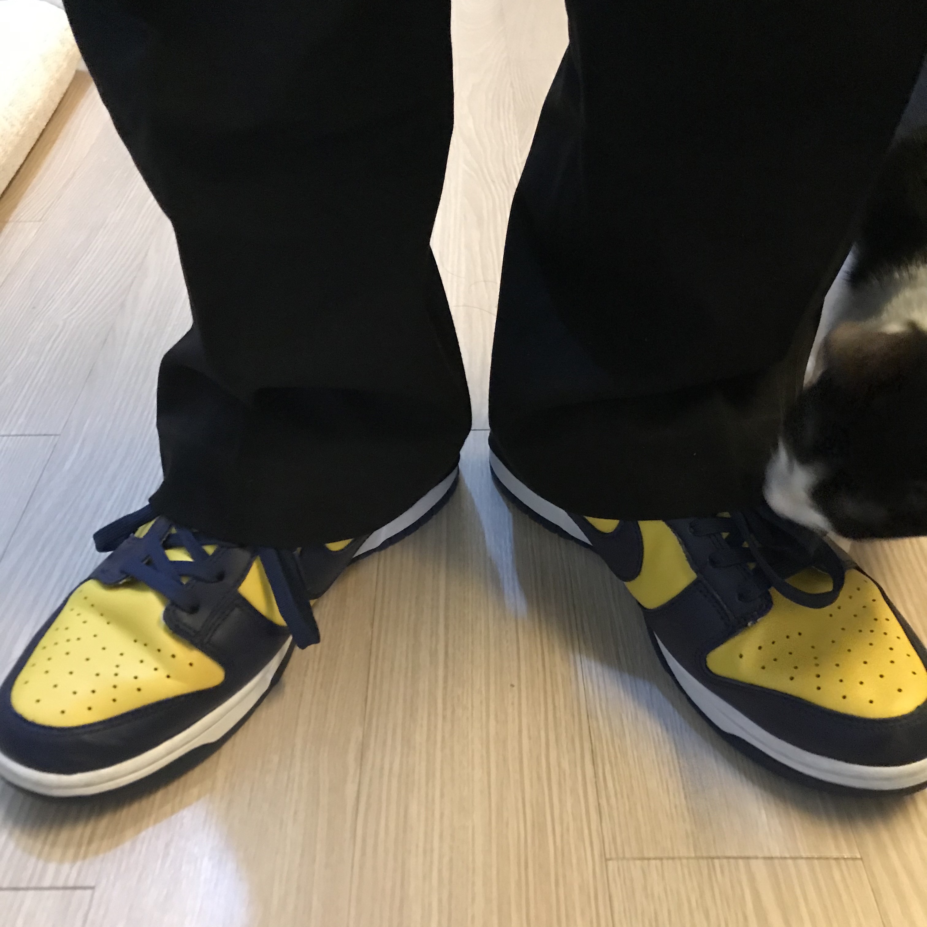 Nike Dunk Low Retro Varsity Maize 착용 스타일 - 2