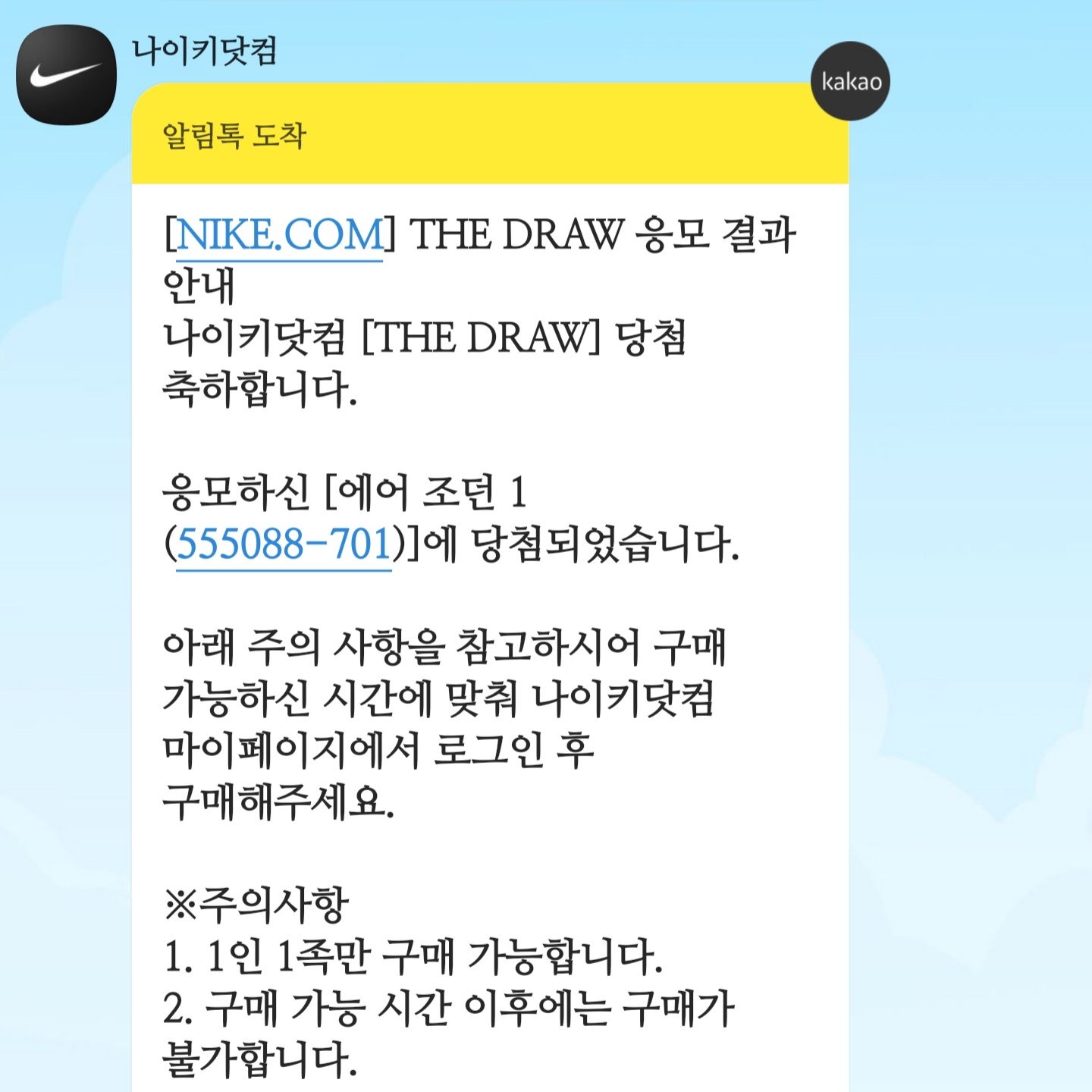 Jordan 1 Retro High OG Pollen 착용 스타일