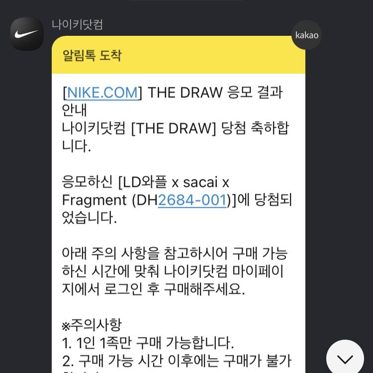 Nike x Sacai x Fragment LDWaffle Light Smoke Grey 착용 스타일 - 4