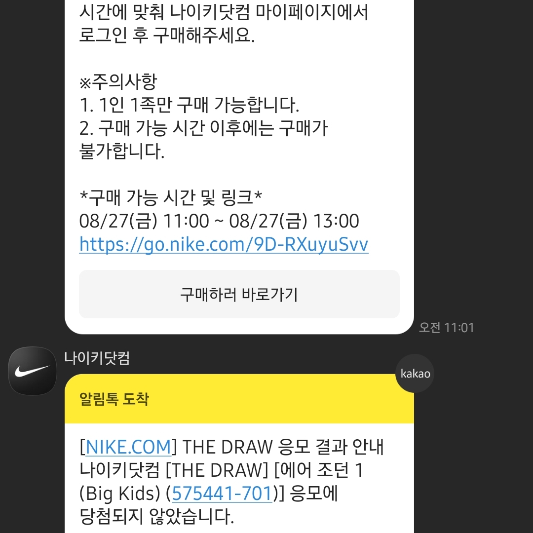 Jordan 1 Retro High OG Pollen 착용 스타일 - 1