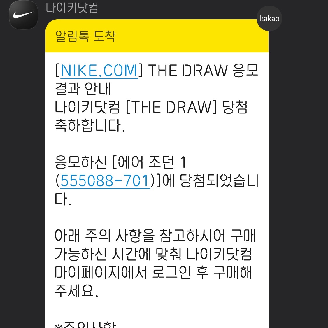 Jordan 1 Retro High OG Pollen 착용 스타일